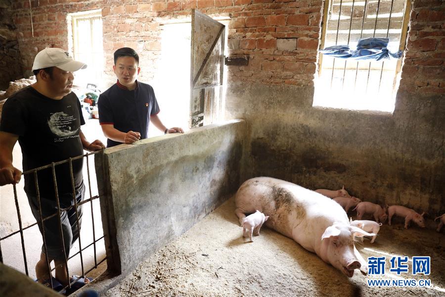 (新華全媒頭條·圖文互動)(1)基層天地廣闊 青春大有作為——聚焦“三支一扶”計(jì)劃實(shí)施十五年