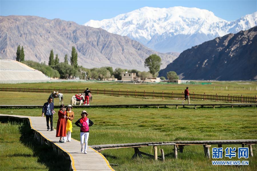 （新華全媒頭條&middot;圖文互動）（15）飛吧，&ldquo;帕米爾雄鷹&rdquo;！