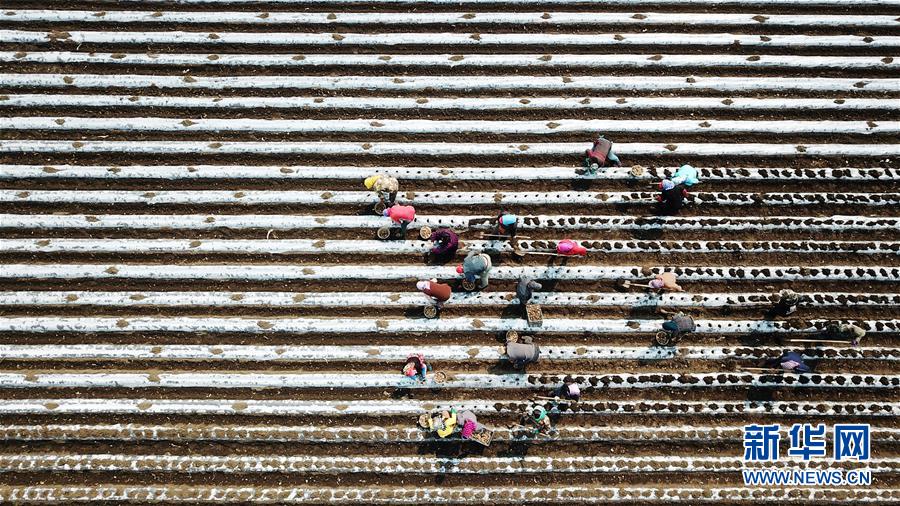 (在習(xí)近平新時代中國特色社會主義思想指引下——新時代新作為新篇章·習(xí)近平總書記關(guān)切事·圖文互動)(2)讓每一寸耕地都成為豐收的沃土——我國加強耕地保護推進“藏糧于地”
