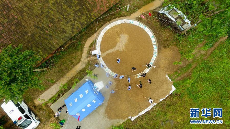 （防汛抗洪·圖文互動）（2）“險情不可怕，可怕的是不能及時發現險情”——洞庭湖巡堤查險現場直擊