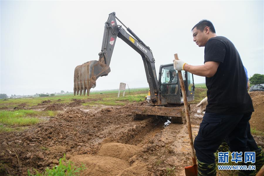 （防汛抗洪·圖文互動）（3）“險情不可怕，可怕的是不能及時發現險情”——洞庭湖巡堤查險現場直擊