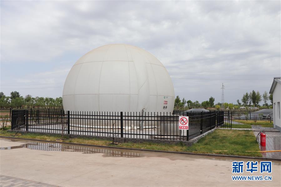 （鄉村振興·圖文互動）（5）內蒙古伊金霍洛旗：自家生豬基地養 環境好來收入旺