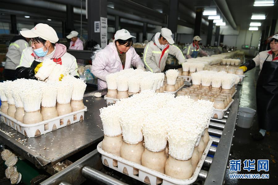 (走向我們的小康生活·圖文互動(dòng))(2)烏蒙“同心”戰(zhàn)貧困