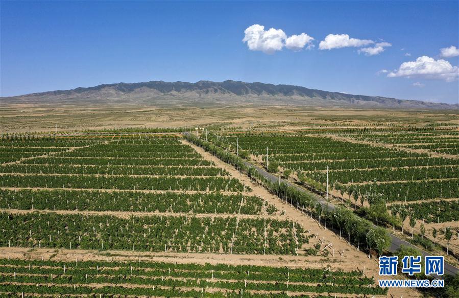 （走向我們的小康生活·圖文互動）（4）西海固換了新模樣