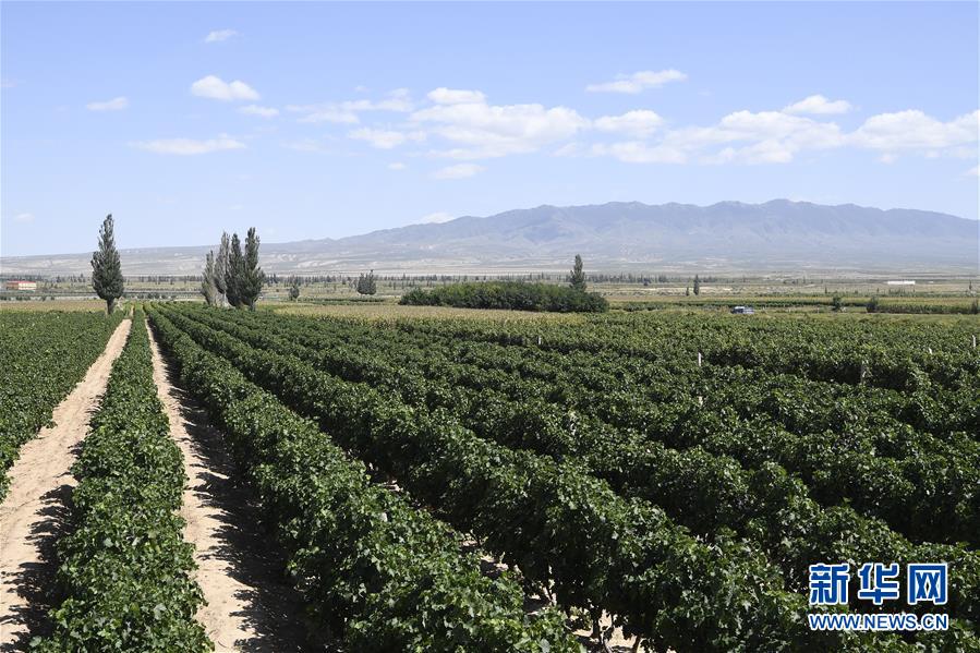 (新華全媒頭條·走向我們的小康生活·圖文互動(dòng))(9)23萬人的命運(yùn)轉(zhuǎn)折——我國(guó)最大易地生態(tài)移民安置區(qū)的脫貧密碼