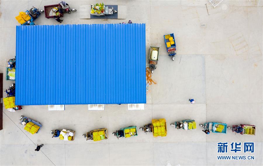 (新華全媒頭條·走向我們的小康生活·圖文互動(dòng))(10)23萬人的命運(yùn)轉(zhuǎn)折——我國(guó)最大易地生態(tài)移民安置區(qū)的脫貧密碼