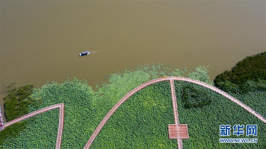 (在習近平新時代中國特色社會主義思想指引下——新時代新作為新篇章·習近平總書記關切事·圖文互動)(8)綠色映底蘊,山水見初心——生態優先、綠色發展持續造福群眾美好生活