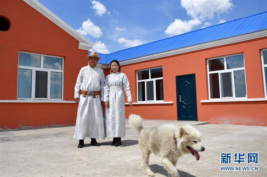 （走向我們的小康生活·圖文互動）（6）草原有了網，手機能放羊——看呼倫貝爾大草原牧民生活變了樣 