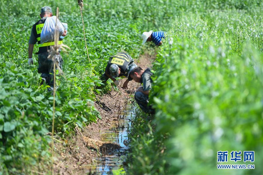 (新華全媒頭條·圖文互動)(10)筑起共御水患的鋼鐵長堤——戰洪一線的“干群關系新答卷”