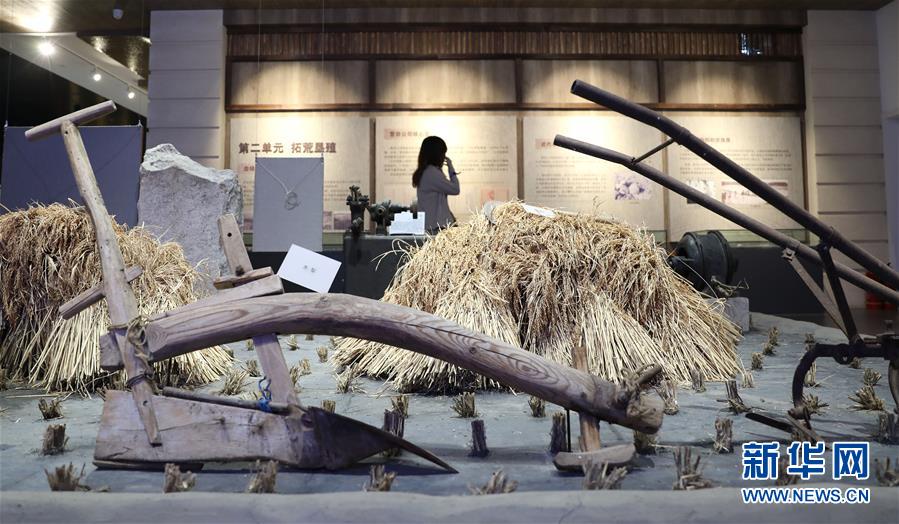 (新華全媒頭條·走向我們的小康生活·圖文互動)(10)“南大荒”變“稻蟹鄉”——資源枯竭型城市盤錦的鄉村振興之路