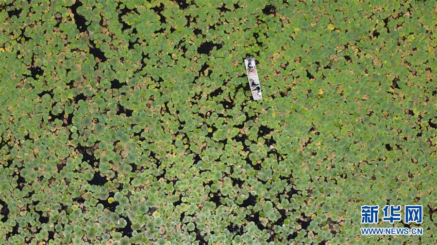 (在習(xí)近平新時(shí)代中國(guó)特色社會(huì)主義思想指引下——新時(shí)代新作為新篇章·習(xí)近平總書(shū)記關(guān)切事·圖文互動(dòng))(12)一切為了人民——寫(xiě)在全國(guó)防汛救災(zāi)取得階段性重大勝利之時(shí)