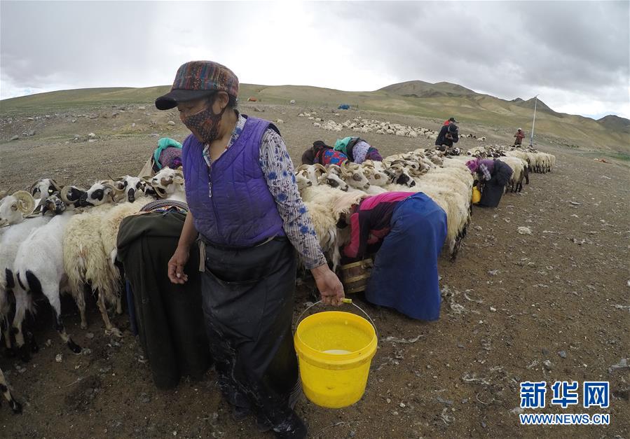 (新華全媒頭條·走向我們的小康生活·決戰決勝脫貧攻堅·圖文互動)(2)兩次遷徙“搬窮”記——海拔最高縣雙湖的“戰貧故事”