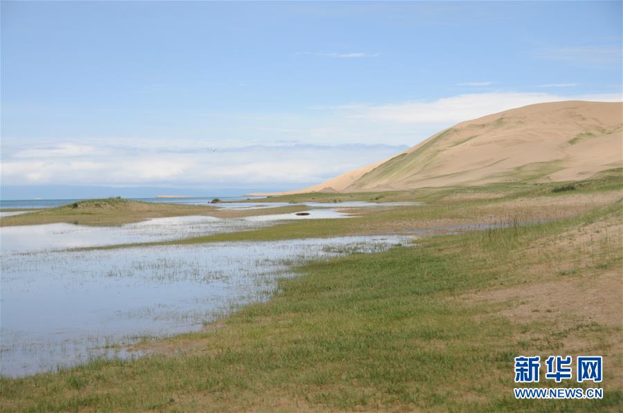 (新華全媒頭條·圖文互動)(12)大湖見證 ——持續保護讓青海湖生態華麗“蝶變”