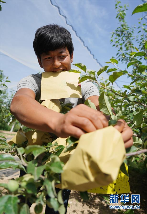 (習(xí)近平的小康故事·圖文互動(dòng))(2)“我很期盼的一件事,就是讓鄉(xiāng)親們飽餐一頓肉”——習(xí)近平和脫貧攻堅(jiān)的故事