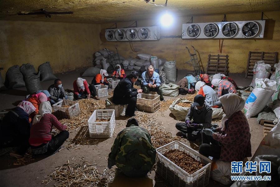 (習(xí)近平的小康故事·圖文互動(dòng))(8)“我很期盼的一件事,就是讓鄉(xiāng)親們飽餐一頓肉”——習(xí)近平和脫貧攻堅(jiān)的故事