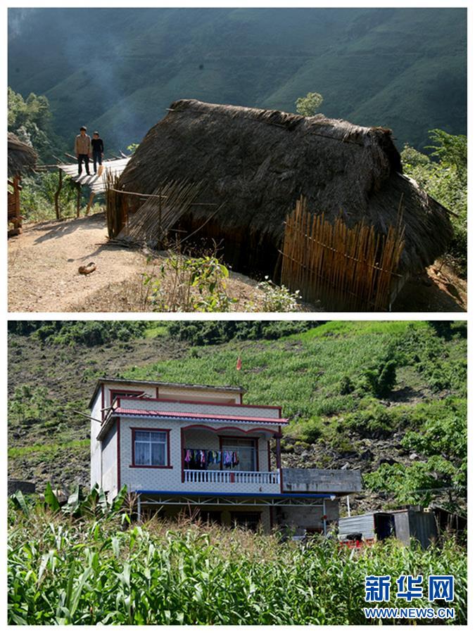 (新華全媒頭條·圖文互動)(3)木棉花開紅勝火——廣西千里邊境線脫貧紀實
