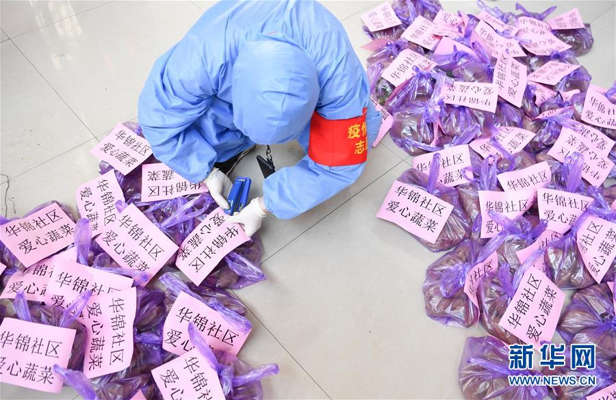 (習近平致敬的戰“疫”英雄·志愿者篇·圖文互動)(11)他們,微光成炬照征程