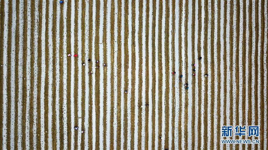 (在習近平新時代中國特色社會主義思想指引下——新時代新作為新篇章·習近平總書記關切事·圖文互動)(6)啃下最后的硬骨頭——脫貧攻堅掛牌督戰(zhàn)進行時