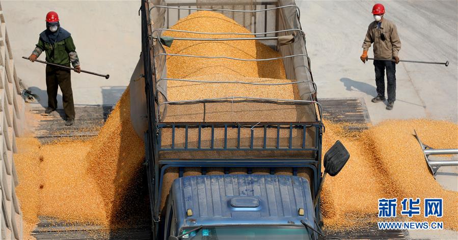 （在習(xí)近平新時代中國特色社會主義思想指引下&mdash;&mdash;新時代新作為新篇章&middot;習(xí)近平總書記關(guān)切事&middot;圖文互動）（7）春耕忙 信心足&mdash;&mdash;谷雨時節(jié)走馬東北直擊糧事