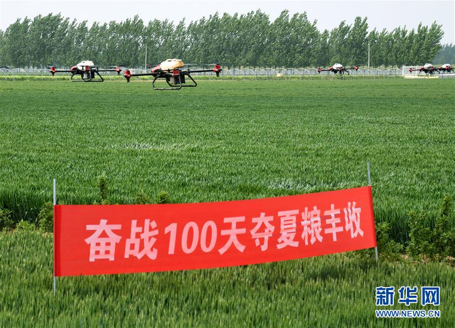 （在習近平新時代中國特色社會主義思想指引下——新時代新作為新篇章·習近平總書記關切事·圖文互動）（9）新農事、新希望——夏收前田間新動態掃描