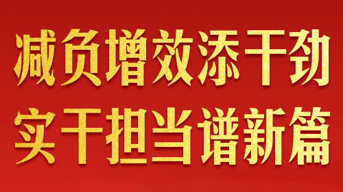 2025年以習近平同志為核心的黨中央整治形式主義為基層減負綜述