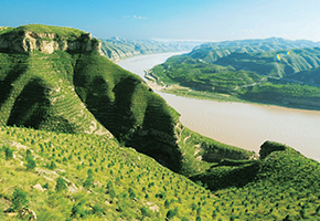 張建龍:“三北工程”實(shí)現(xiàn)生態(tài)、經(jīng)濟(jì)、社會(huì)效益“多贏(yíng)”