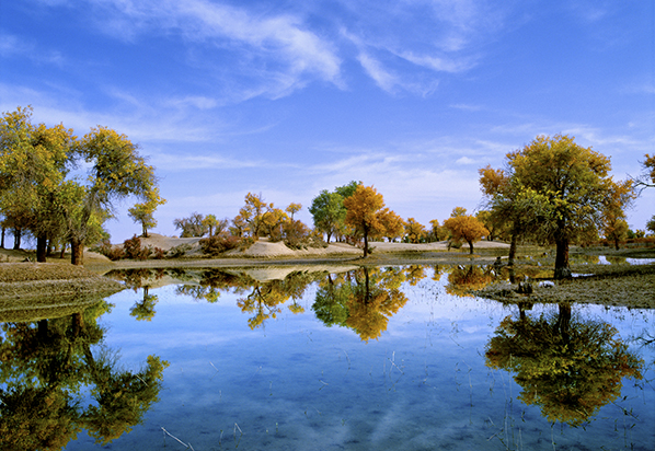 張建龍:推進(jìn)國(guó)土綠化 扮靚綠水青山