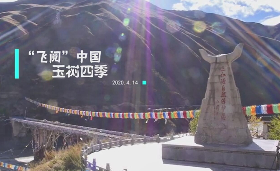 【&ldquo;飛閱&rdquo;中國(guó)】玉樹(shù)四季