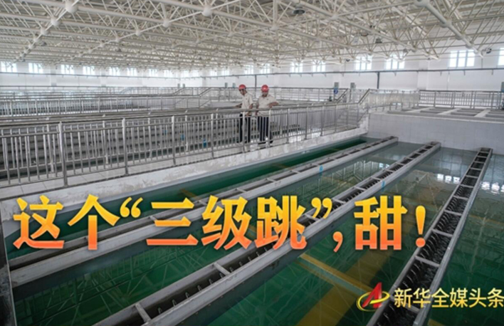 這個(gè)&ldquo;三級(jí)跳&rdquo;，甜！