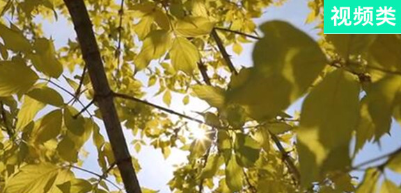 從&rdquo;失學生&ldquo;到&ldquo;研究生&rdquo;