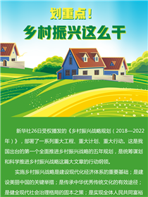 劃重點！鄉村振興這么干