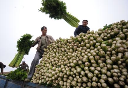 劉永富：發展產業脫貧仍是精準扶貧、精準脫貧主攻方向