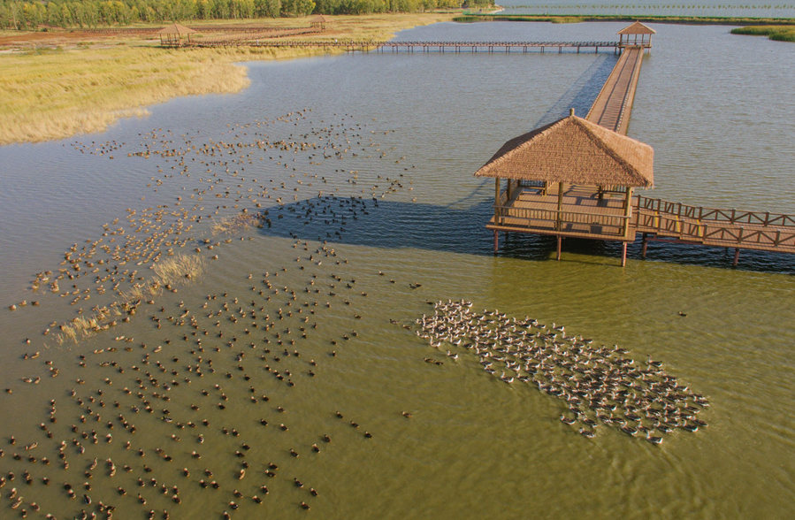新華微評&middot;學習路上：生態興，百業旺