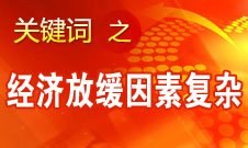 張平：今年經濟出現(xiàn)放緩跡象是多重因素的影響