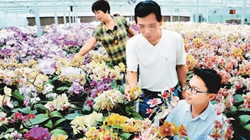 臺商眼中的改革開放：風(fēng)景這邊獨(dú)好 要去，要去，要去！