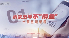 未來五年，不“摸魚”