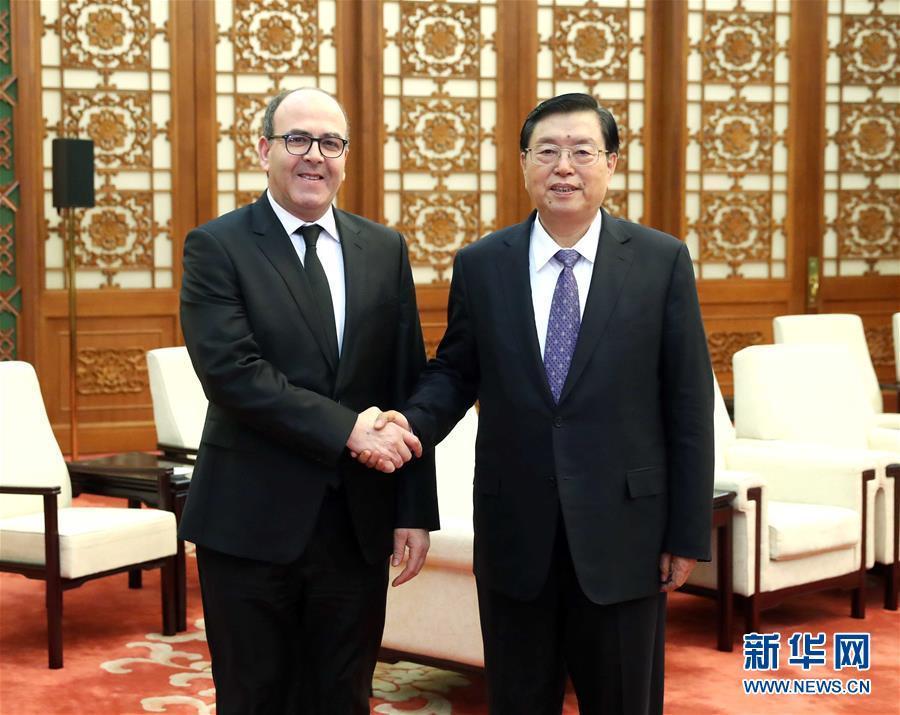 12月20日，全國人大常委會委員長張德江在北京人民大會堂會見摩洛哥參議長本希馬。新華社記者劉衛兵攝