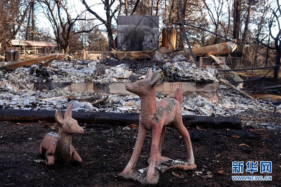 （國際·圖文互動(dòng)）（6）一場山火，讓這個(gè)冬天格外冷——探訪美國加州山火災(zāi)區(qū)