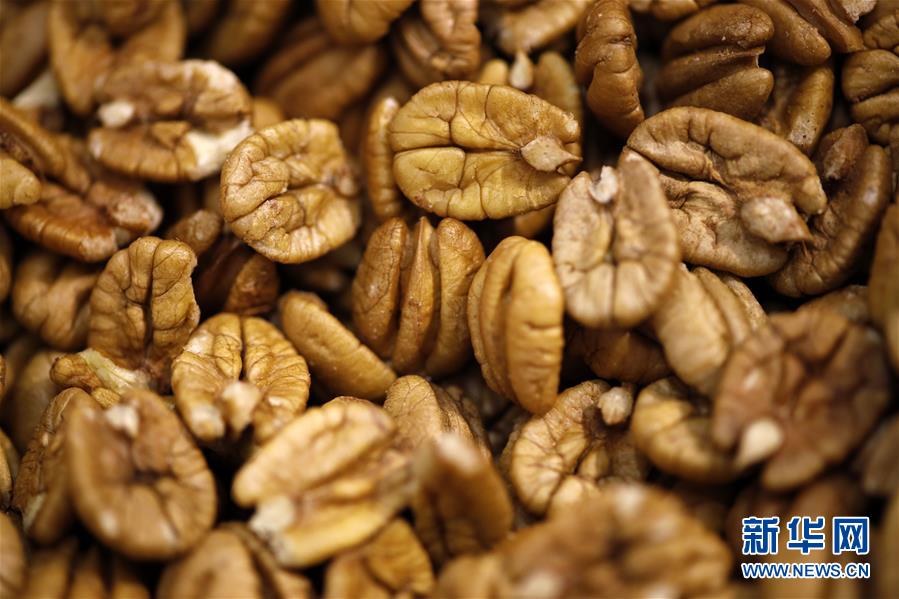 （國際·圖文互動）（9）通訊：期待美中盡早達成貿易協議——颶風和關稅夾擊下的美國山核桃種植戶盼重回中國市場