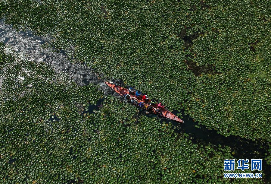 （國際·年終報道）（8）2019，精“彩”紛呈