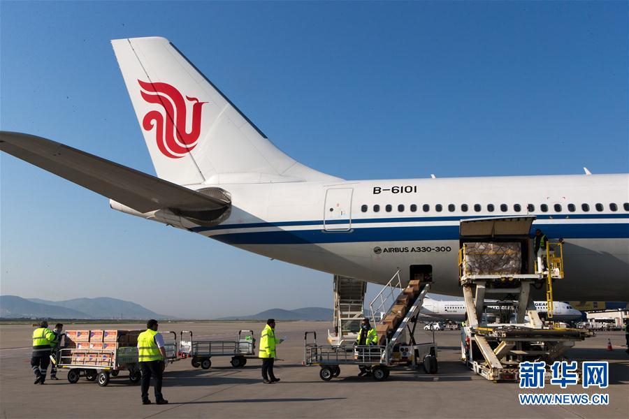 (國際疫情)(7)中國向希臘援助抗疫醫療物資