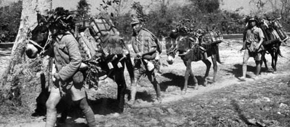 老照片再憶中國抗日遠征軍入緬作戰