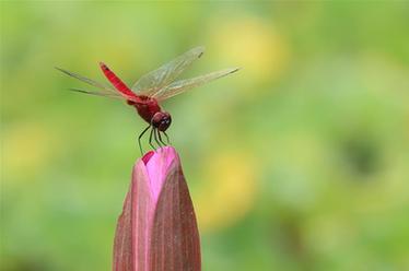 2019，精“彩”紛呈