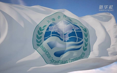 你好，上合！