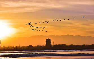 你想看的風(fēng)景，這里都有